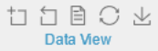 boton dataview